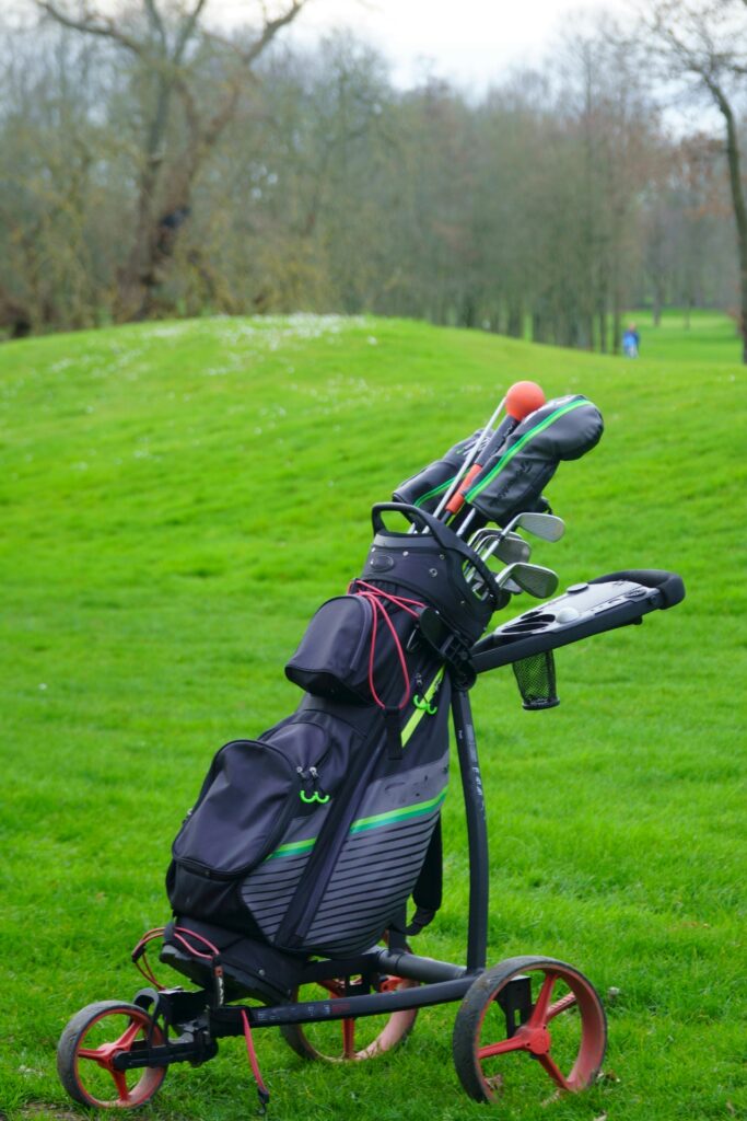 Golf bag with clubs on a vibrant green golf course, surrounded by trees on a cloudy day.